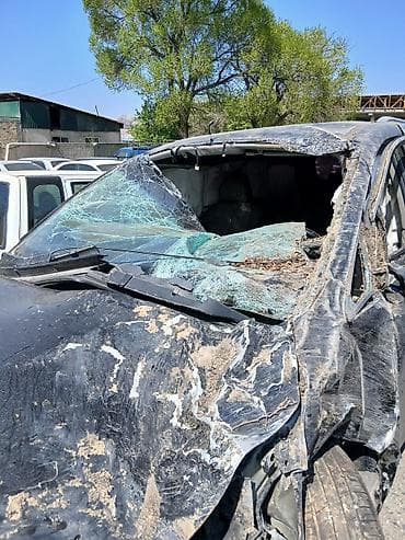 китайские минивены: Kia Carnival: 2019 г., Минивэн — 7