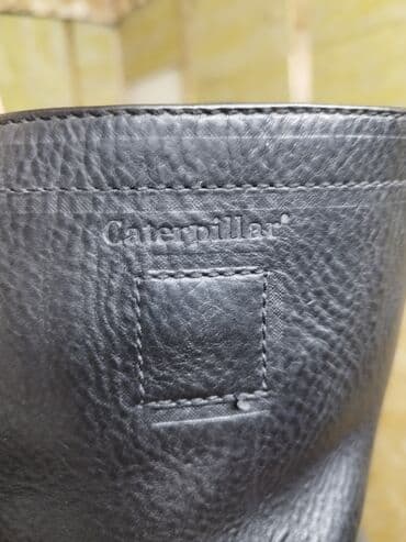 продажа домашних животных: Кожа спортивный ээр Европа+сапоги Америка(фирма CAT очень — 9