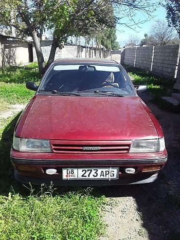 Toyota Carina: 1998 г., 2 л, Механика, Газ, Седан