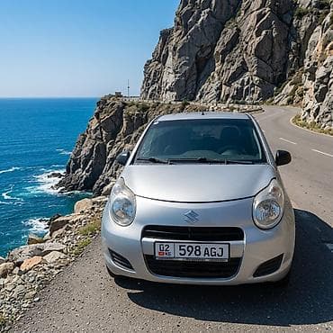 mini ev: Suzuki Alto: 2008 г., 0.9 л, Механика, Бензин, Хэтчбэк — 4