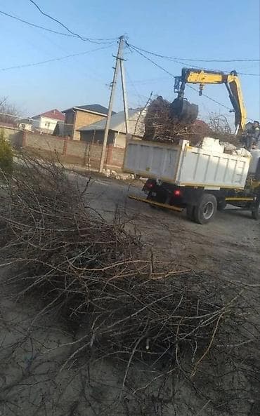 беременная: Уборка территории, Стрижка газона — 3