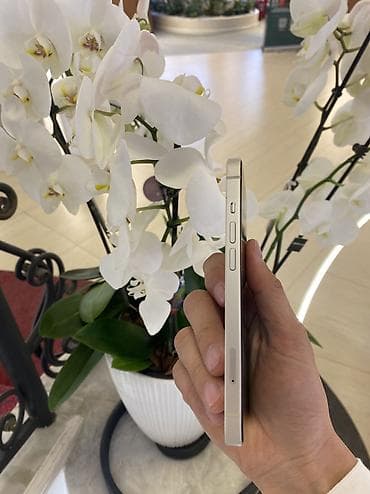 poco g4: IPhone 13, Б/у, 256 ГБ, White Titanium, Защитное стекло, Чехол, 80 % — 5