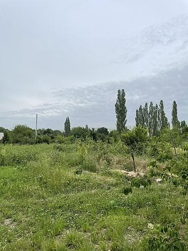 10 соток, Айыл чарба үчүн, Кызыл китеп — 1