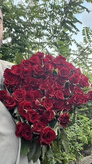 рыбы купить: Оптом и розницу от 12- до 20 сом. Мы находимся Московский район село — 4