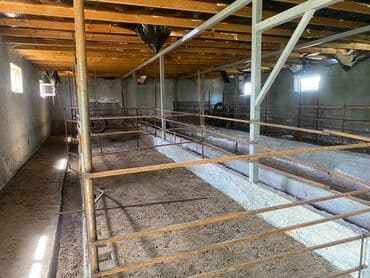 сдаю дом без хозяин: Сдается помещение 1500тыс КВ м имеются 3 сарая 1навес 1конюшня — 11