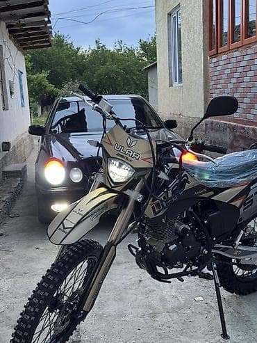 Эндуро 250 куб. см, Бензин, Взрослый