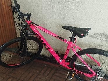 Велосипеддер: Тоо велосипеди, Giant, Велосипед алкагы M (156 - 178 см), Алюминий, Колдонулган — 2