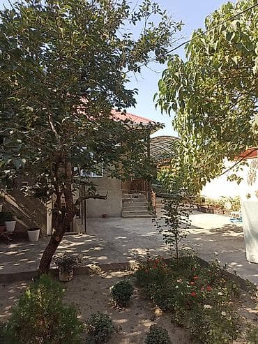 дома с бизнесом: Манас (Жалал-Абад) шаарынын борборунан жаңы бүткөн үй сатылат, 5 — 4