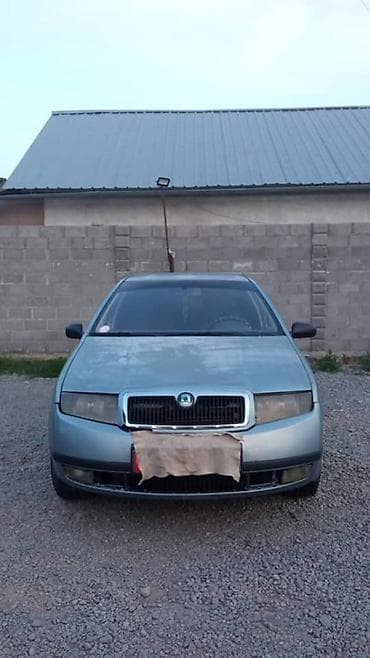 Транспорт: Skoda Fabia: 2003 г., Хетчбек — 3