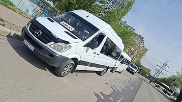 Баруучу жер: Бардык багыттар, Орундардын саны: 18