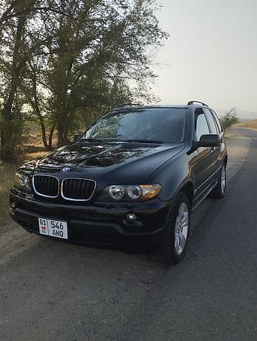 Скупка авто: BMW X5: 2004 г., 3 л, Автомат, Бензин, Внедорожник — 4