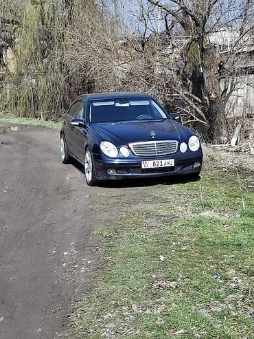 ещка 303: Mercedes-Benz E-Class: 2003 г., 3.2 л, Автомат, Бензин, Седан — 3