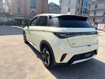 дополнительное освещение на авто: BYD Dolphin: 2022 г., 0.1 л, Автомат, Электромобиль, Хэтчбэк — 2