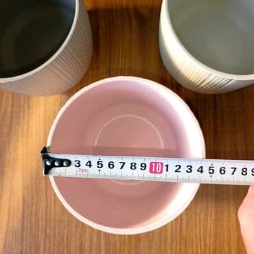 декоративная зелень: Декор для дома и сада, Кашпо и цветники, Самовывоз — 5