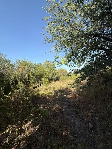 дом чон арыке: Үй, 43 кв. м, 3 бөлмө, Кыймылсыз мүлк агенттиги, Эски ремонт — 16