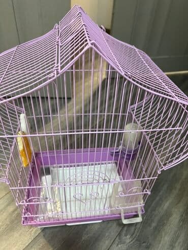 Клетка для домашних птиц (волнистые попугаи, канарейки, амадины и др.)