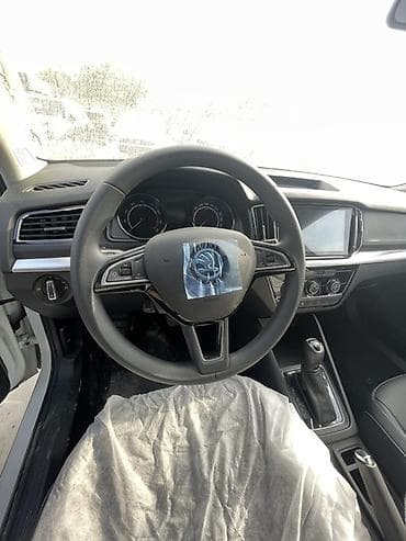 балкан кара: Skoda : 2025 г., 1.5 л, Автомат, Бензин, Кроссовер — 5