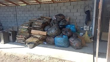 утилизация животных: Уборка территории, Другое — 1