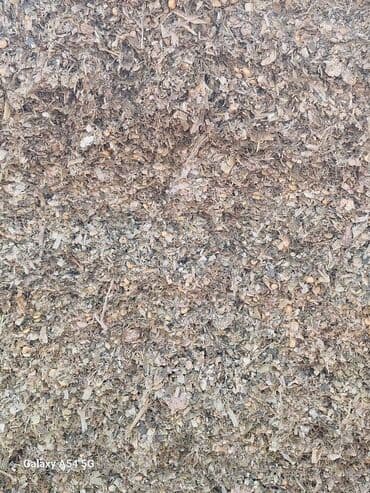 наполнитель для котов: Силос мелкодробленный с кукурузой — 2