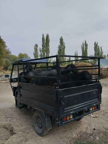 скутеры мопеды: Жеңил жүк ташуучу унаа, Стандарт — 3