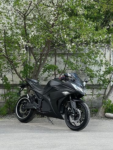 выхлоп акропович: Спортивный мотоцикл в агрессивном пластиковом обвесе, цвет матовый — 10