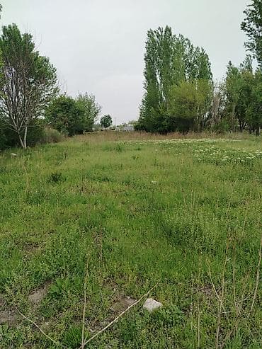 уч: 10 соток, Курулуш, Кызыл китеп — 5