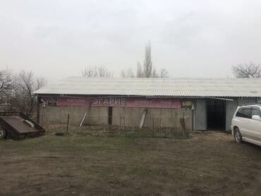 купить дачу недорого: Дом, 220 м², 6 комнат, Собственник — 2