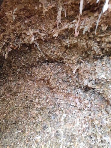 ящик для овощи: Продаю 30 тонн силос кукурузы (не рулон) по 8 сомов адрес село Толок — 1