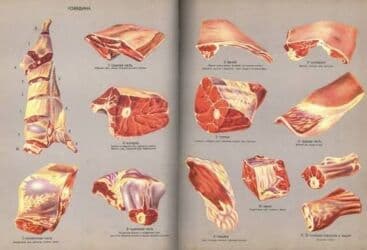сколько стоит мясо в бишкеке: Нарындан келген жаш уй же кунаажын союлуп баардык бөлүкө тең салмакта — 2