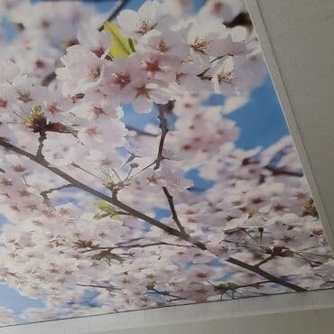 бетон м200 цена с доставкой бишкек: Натяжной жазайбыз 
3d натяжные потолки 
от 1000 сомов 
Бишкек чуй — 3