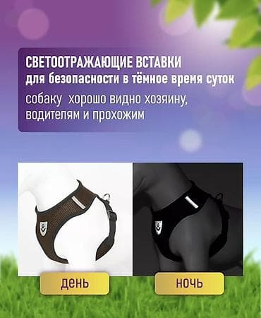 поводок для собак: Продаю шлейка для собак или кошек + поводок В идеальном состоянии - — 8