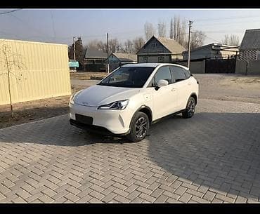 леопард авто: BYD : 2021 г., Электромобиль, Кроссовер — 8