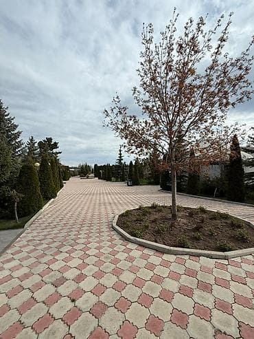 котедж лазурный берег: Эксклюзивный коттедж на Иссык-Куле в закрытом пансионате “Costa BRAVA” — 6
