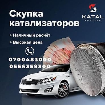 Скупка катализаторов катализатор катализаторов прием