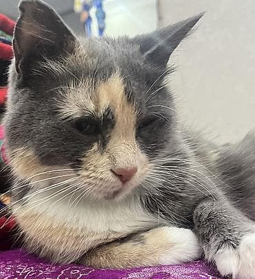 2 года, Девочка at lalafo.kg 2 года, Девочка