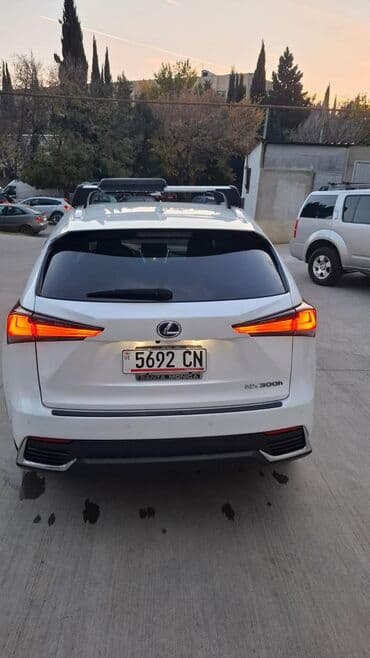 фотохромные очки: Lexus NX: 2020 г., 2.5 л, Типтроник, Гибрид, Кроссовер — 8