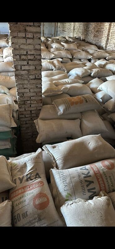 продажа рыбы оптом: Семена эспарцета — оптом — 2