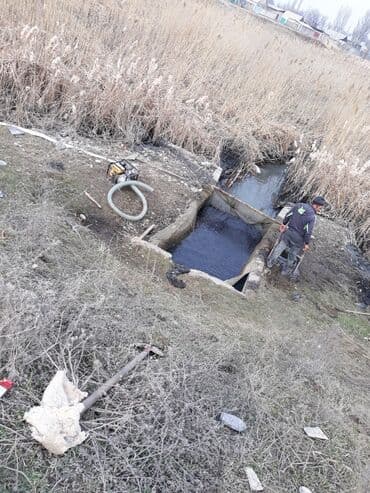 домики для хомяков купить: Малек сигалетка толстолобика карпа и Белова Амура — 2