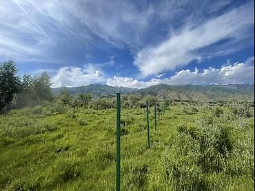 купить дом в константиновке: 30 соток, Для строительства, Красная книга, Договор купли-продажи — 5