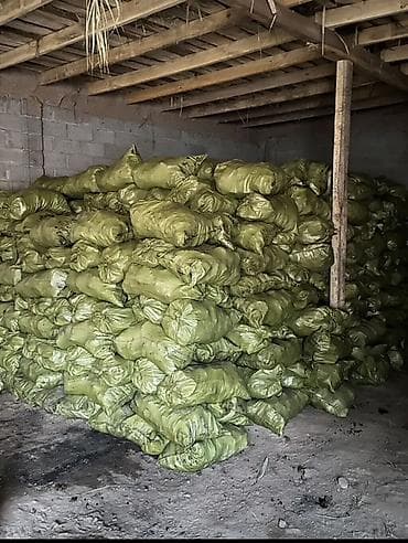 Үй жана бакча үчүн баардык: Уголь сулюкта - Фракция: крупные цельные куски, равномерно — 1