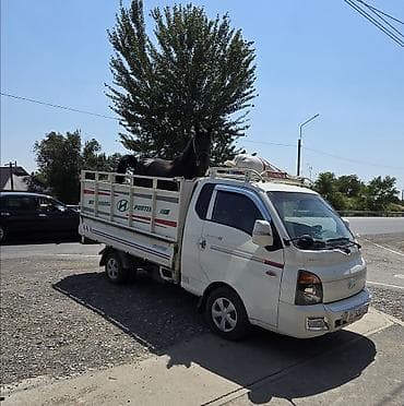 прицепы камаз: Hyundai Porter II — компактный бортовой грузовик Основные — 1