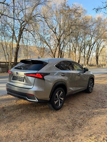 выкуп авто нексия: Lexus NX: 2018 г., 2.5 л, Вариатор, Бензиновая, Кроссовер — 6