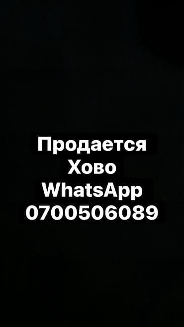 l 200: Грузовик, Howo, Стандарт, 3 т, Б/у — 1