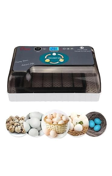 Женская одежда: Инкубатор на 12 яиц Компактный электрический инкубатор для выводка — 1