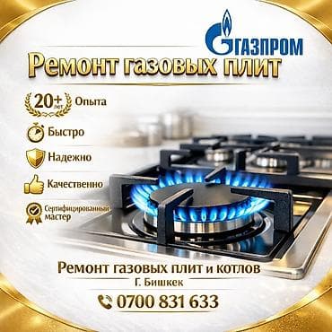 Услуги: ремонт газовых плит и котлов. Описание: - Профессиональная
