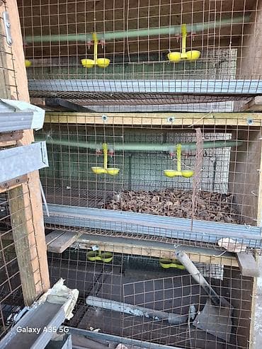 мингич ат: Клетка для бройлеров, перепелки и также для кур состояния отличное — 3