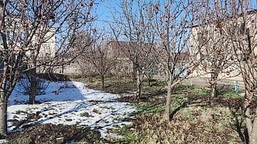 гостиница дом: Дом, 100 м², 6 комнат, Собственник, Косметический ремонт — 9