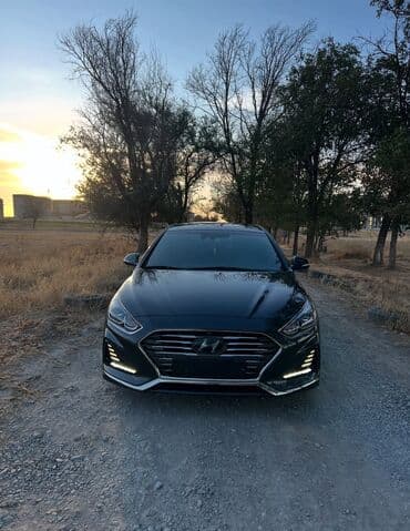 Ковролин: Hyundai Sonata: 2018 г., 2 л, Автомат, Бензин, Седан — 1