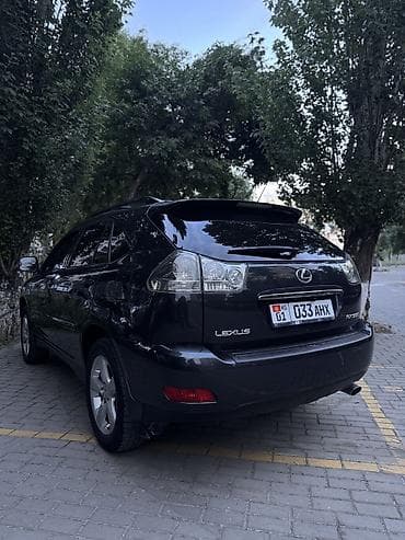 авто краслер: Lexus RX: 2004 г., 3.3 л, Автомат, Газ, Кроссовер — 6