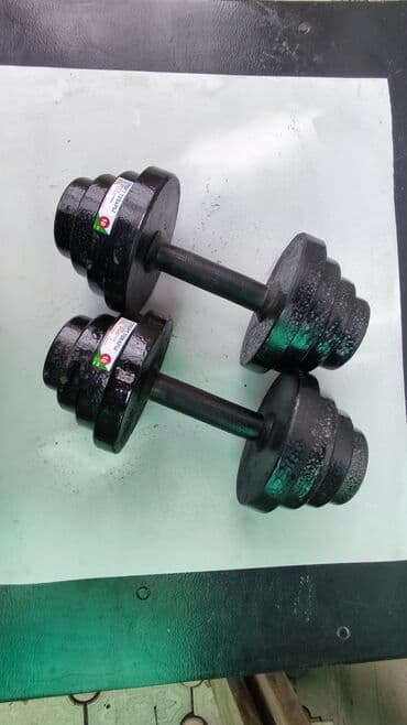 гантели наборные хромированные: Гантели железные разборные Вес одной гантели 10кг Общий вес 20кг — 1